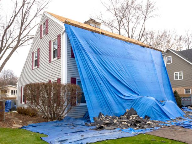 Best Stone Veneer Siding  in Millers Creek, NC